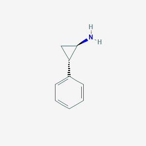 molecular formula C9H11N B147407 Parnate CAS No. 95-62-5