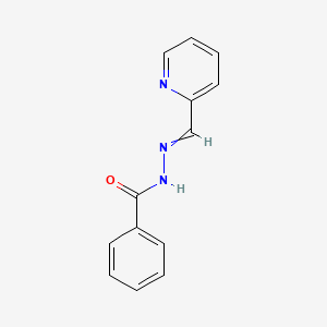 molecular formula C13H11N3O B14741320 N-(pyridin-2-ylmethylideneamino)benzamide CAS No. 5475-70-7
