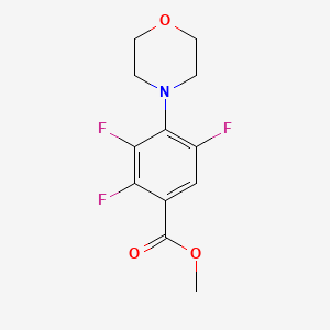 molecular formula C12H12F3NO3 B1474320 Methyl 2,3,5-trifluoro-4-morpholin-4-ylbenzoate CAS No. 1858250-71-1