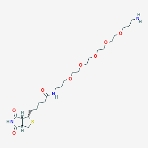 molecular formula C25H45N3O8S B1474323 n1-(d-(+)-Biotinyl)-1,19-diamino-4,7,10,13,16-pentaoxa-nonadecane CAS No. 869354-65-4