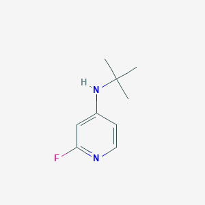 molecular formula C9H13FN2 B1474521 N-tert-butyl-2-fluoropyridin-4-amine CAS No. 1564751-06-9