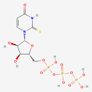 2-thioUTP