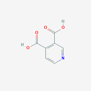 molecular formula C7H5NO4 B147513 Pyridine-3,4-dicarboxylic acid CAS No. 490-11-9