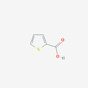 molecular formula C5H4O2S B147515 2-Thiophenecarboxylic acid CAS No. 527-72-0
