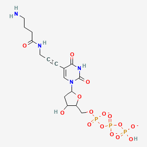 molecular formula C16H22N4O15P3-3 B14755592 [[[5-[5-[3-(4-Aminobutanoylamino)prop-1-ynyl]-2,4-dioxopyrimidin-1-yl]-3-hydroxyoxolan-2-yl]methoxy-oxidophosphoryl]oxy-oxidophosphoryl] hydrogen phosphate 