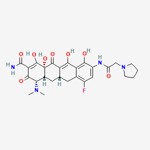molecular formula C27H31FN4O8 B14755990 N-[(5aR,6aS,7S,10aS)-9-(aminocarbonyl)-7-(dimethylamino)-4-fluoro-5,5a,6,6a,7,10,10a,12-octahydro-1,8,10a,11-tetrahydroxy-10,12-dioxo-2-naphthacenyl]-1-pyrrolidineacetamide dihydrochloride 