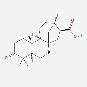 molecular formula C20H30O3 B14756021 (1S,4S,9S,10R,13S,14S)-5,5,9-trimethyl-6-oxotetracyclo[11.2.1.01,10.04,9]hexadecane-14-carboxylic acid 