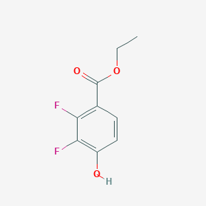 molecular formula C9H8F2O3 B14758583 Ethyl 2,3-difluoro-4-hydroxybenzoate 