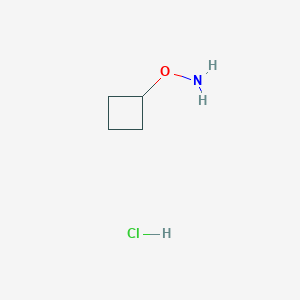 molecular formula C4H10ClNO B147630 O-Cyclobutyl-hydroxylamine hydrochloride CAS No. 137270-23-6