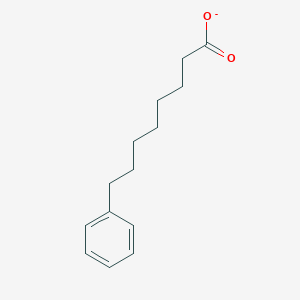 molecular formula C14H19O2- B14763075 8-Phenyloctanoate 
