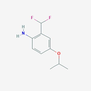 molecular formula C10H13F2NO B14765543 2-(Difluoromethyl)-4-isopropoxyaniline 