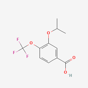 molecular formula C11H11F3O4 B14767058 3-Isopropoxy-4-(trifluoromethoxy)benzoic acid 
