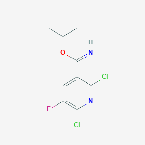 molecular formula C9H9Cl2FN2O B14767203 Isopropyl 2,6-dichloro-5-fluoro-pyridine-3-carboximidate 