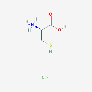 molecular formula C3H8ClNO2S B147689 L-半胱氨酸盐酸盐 CAS No. 52-89-1