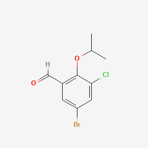 molecular formula C10H10BrClO2 B14771933 5-Bromo-3-chloro-2-isopropoxybenzaldehyde 