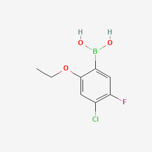 molecular formula C8H9BClFO3 B14772457 (4-Chloro-2-ethoxy-5-fluorophenyl)boronic acid 