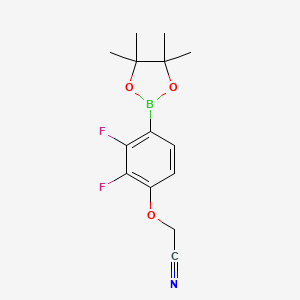 molecular formula C14H16BF2NO3 B14772899 2-[2,3-Difluoro-4-(4,4,5,5-tetramethyl-1,3,2-dioxaborolan-2-yl)phenoxy]acetonitrile 