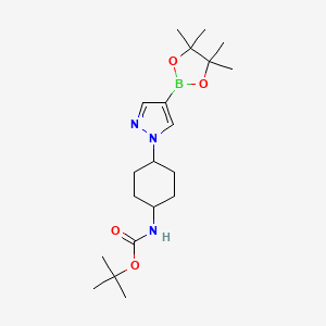 molecular formula C20H34BN3O4 B14773331 tert-Butyl (4-(4-(4,4,5,5-tetramethyl-1,3,2-dioxaborolan-2-yl)-1H-pyrazol-1-yl)cyclohexyl)carbamate 