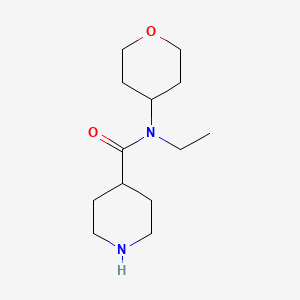 molecular formula C13H24N2O2 B1477470 N-ethyl-N-(tetrahydro-2H-pyran-4-yl)piperidine-4-carboxamide CAS No. 2097983-39-4
