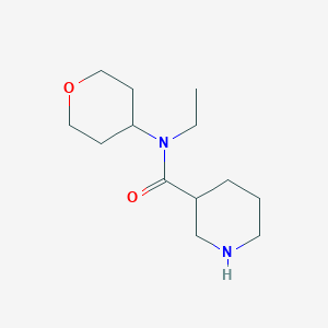 molecular formula C13H24N2O2 B1477556 N-ethyl-N-(tetrahydro-2H-pyran-4-yl)piperidine-3-carboxamide CAS No. 2097983-27-0