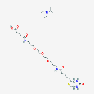 molecular formula C33H63N5O8S B14776108 O-(N-Biotiny-NH-(PEG)2-COOH.DIPEA 