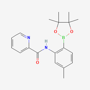 molecular formula C19H23BN2O3 B14776263 N-[5-methyl-2-(4,4,5,5-tetramethyl-1,3,2-dioxaborolan-2-yl)phenyl]pyridine-2-carboxamide 