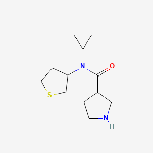 molecular formula C12H20N2OS B1477687 N-cyclopropyl-N-(tetrahydrothiophen-3-yl)pyrrolidine-3-carboxamide CAS No. 2098082-23-4