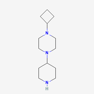 molecular formula C13H25N3 B1477744 1-Cyclobutyl-4-(piperidin-4-yl)piperazine CAS No. 1878486-28-2