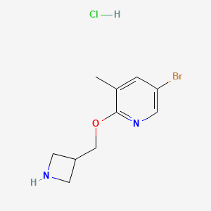 molecular formula C10H14BrClN2O B14779879 2-(Azetidin-3-ylmethoxy)-5-bromo-3-methylpyridine hydrochloride 