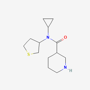 molecular formula C13H22N2OS B1478009 N-cyclopropyl-N-(tetrahydrothiophen-3-yl)piperidine-3-carboxamide CAS No. 2098132-39-7