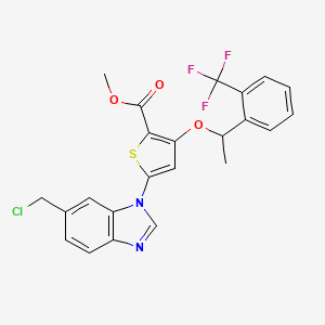 molecular formula C23H18ClF3N2O3S B14780433 Methyl 5-[6-(chloromethyl)benzimidazol-1-yl]-3-[1-[2-(trifluoromethyl)phenyl]ethoxy]thiophene-2-carboxylate 