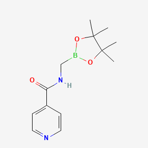 molecular formula C13H19BN2O3 B14782938 N-((4,4,5,5-Tetramethyl-1,3,2-dioxaborolan-2-yl)methyl)isonicotinamide 