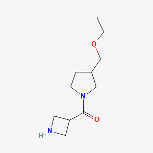 molecular formula C11H20N2O2 B1478345 Azetidin-3-yl(3-(ethoxymethyl)pyrrolidin-1-yl)methanone CAS No. 1840019-08-0