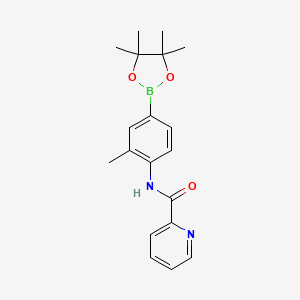 molecular formula C19H23BN2O3 B14783500 N-[2-methyl-4-(4,4,5,5-tetramethyl-1,3,2-dioxaborolan-2-yl)phenyl]pyridine-2-carboxamide 