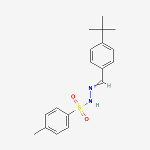 molecular formula C18H22N2O2S B14783847 N-[(E)-(4-tert-Butylphenyl)methylideneamino]-4-methylbenzenesulfonamide 