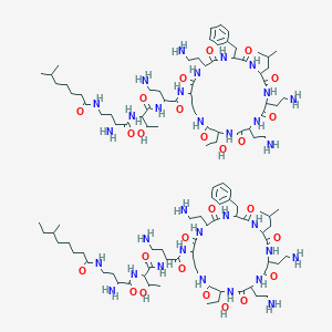 molecular formula C111H194N32O26 B14786290 N-[3-amino-4-[[1-[[4-amino-1-oxo-1-[[6,9,18-tris(2-aminoethyl)-15-benzyl-3-(1-hydroxyethyl)-12-(2-methylpropyl)-2,5,8,11,14,17,20-heptaoxo-1,4,7,10,13,16,19-heptazacyclotricos-21-yl]amino]butan-2-yl]amino]-3-hydroxy-1-oxobutan-2-yl]amino]-4-oxobutyl]-6-methylheptanamide;N-[3-amino-4-[[1-[[4-amino-1-oxo-1-[[6,9,18-tris(2-aminoethyl)-15-benzyl-3-(1-hydroxyethyl)-12-(2-methylpropyl)-2,5,8,11,14,17,20-heptaoxo-1,4,7,10,13,16,19-heptazacyclotricos-21-yl]amino]butan-2-yl]amino]-3-hydroxy-1-oxobutan-2-yl]amino]-4-oxobutyl]-6-methyloctanamide 