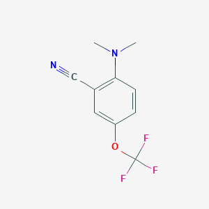molecular formula C10H9F3N2O B14786372 Benzonitrile, 2-(dimethylamino)-5-(trifluoromethoxy)- 