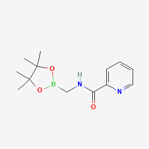 molecular formula C13H19BN2O3 B14787200 N-((4,4,5,5-Tetramethyl-1,3,2-dioxaborolan-2-yl)methyl)picolinamide 