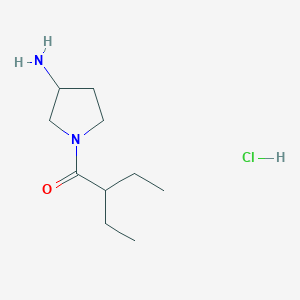 molecular formula C10H21ClN2O B14787556 1-(3-Aminopyrrolidin-1-yl)-2-ethylbutan-1-one;hydrochloride 