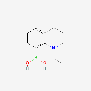 molecular formula C11H16BNO2 B14787976 (1-ethyl-3,4-dihydro-2H-quinolin-8-yl)boronic acid 