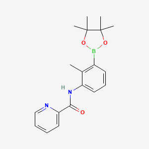 molecular formula C19H23BN2O3 B14789116 N-[2-methyl-3-(4,4,5,5-tetramethyl-1,3,2-dioxaborolan-2-yl)phenyl]pyridine-2-carboxamide 