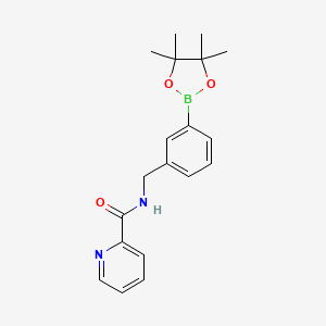 molecular formula C19H23BN2O3 B14790316 N-[[3-(4,4,5,5-tetramethyl-1,3,2-dioxaborolan-2-yl)phenyl]methyl]pyridine-2-carboxamide 