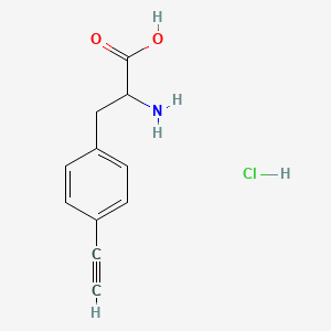molecular formula C11H12ClNO2 B14791483 4-Ethynyl-L-phenylalanine (hydrochloride) 