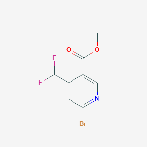 molecular formula C8H6BrF2NO2 B14792189 Methyl 6-bromo-4-(difluoromethyl)nicotinate 