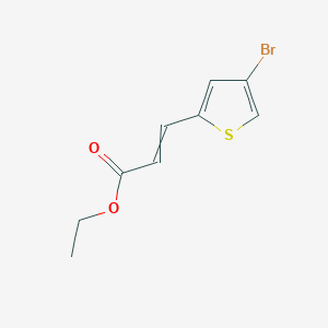 molecular formula C9H9BrO2S B14792259 Ethyl 3-(4-bromothiophen-2-yl)prop-2-enoate 