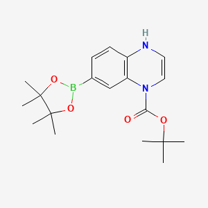 molecular formula C19H27BN2O4 B14792789 tert-butyl7-(4,4,5,5-tetramethyl-1,3,2-dioxaborolan-2-yl)quinoxaline-1(4H)-carboxylate 