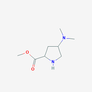 molecular formula C8H16N2O2 B14793494 (4R)-4-(Dimethylamino)-L-proline methyl ester 2HCl 