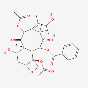 molecular formula C31H38O11 B14794187 [(1S,4S,10S)-4,12-diacetyloxy-1,9,15-trihydroxy-10,14,17,17-tetramethyl-11-oxo-6-oxatetracyclo[11.3.1.03,10.04,7]heptadec-13-en-2-yl] benzoate 