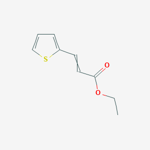 molecular formula C9H10O2S B14794196 Ethyl (E)-3-(2-thienyl)prop-2-enoate 