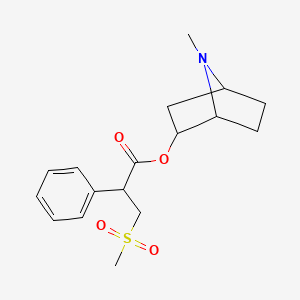 molecular formula C17H23NO4S B14794303 (7-Methyl-7-azabicyclo[2.2.1]heptan-2-yl) 3-methylsulfonyl-2-phenylpropanoate 